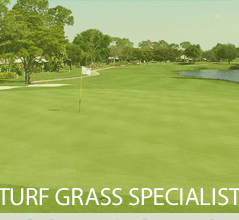 Turf Grass Specialist